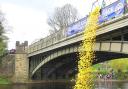 The launch – 4,500 yellow ducks go into the river