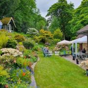The part-woodland garden of Lyn and Phil Short at 5 Hill Top, Westwood Drive, Ilkley