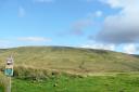 Great Whernside from the high road