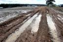 A sea of mud - just part of the Harewood Game Fair site.