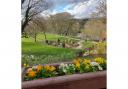 Sunny early spring views of the Riverside Park, Ilkley by Jane Fawcett