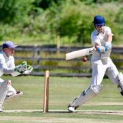T20 cricket in the Aire-Wharfe League could be scrapped following proposals