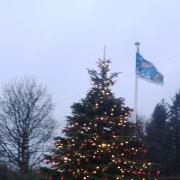 The Christmas tree in Hawksworth