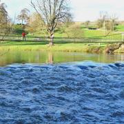The stepping stones across the River Wharfe between Burnsall and Grassington are completely submerged by a rain filled Wharfe. Only the suspension bridge offers a safe passage for walkers. Above the stepping stones the swollen river looks placid, below