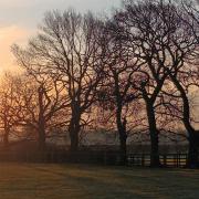 Sunrise over Harlow Carr Gardens on Sunday 31st March, taken by Julie Addyman