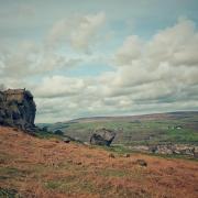 The cow and calf at Ilkley Moor taken on a Samsung galaxy s22 by Zoe Hodkinson