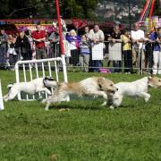 Dog racing at Keighley Mayor's Carnival in 2007