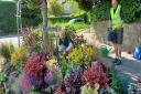 Blooming brilliant: Rawdon-in-Bloom achieves Gold