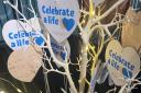 The celebrate a life tree in Leeds