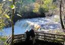Middle Falls at Aysgarth Falls