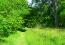 Jervaulx Abbey riverside path