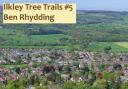 Ben Rhydding Tree Trail