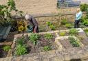 Gardening at Ilkley Manor House