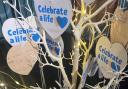 The celebrate a life tree in Leeds