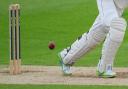 An umpire incentive for the Dales League has failed