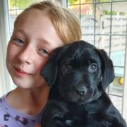 Millie with the family's new puppy