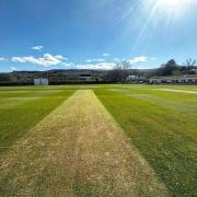 Ilkley Cricket Club's pitch is in brilliant condition inline with the new season getting underway