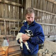A special lambing service takes place at St Andrew’s Church, Blubberhouses on Sunday, May 21
