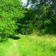 Jervaulx Abbey riverside path