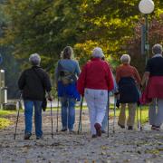 A Nordic walking group