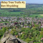Ben Rhydding Tree Trail