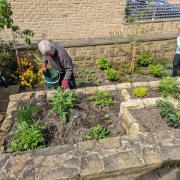 Gardening at Ilkley Manor House