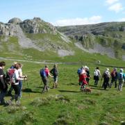 Walkers stride out across the hills